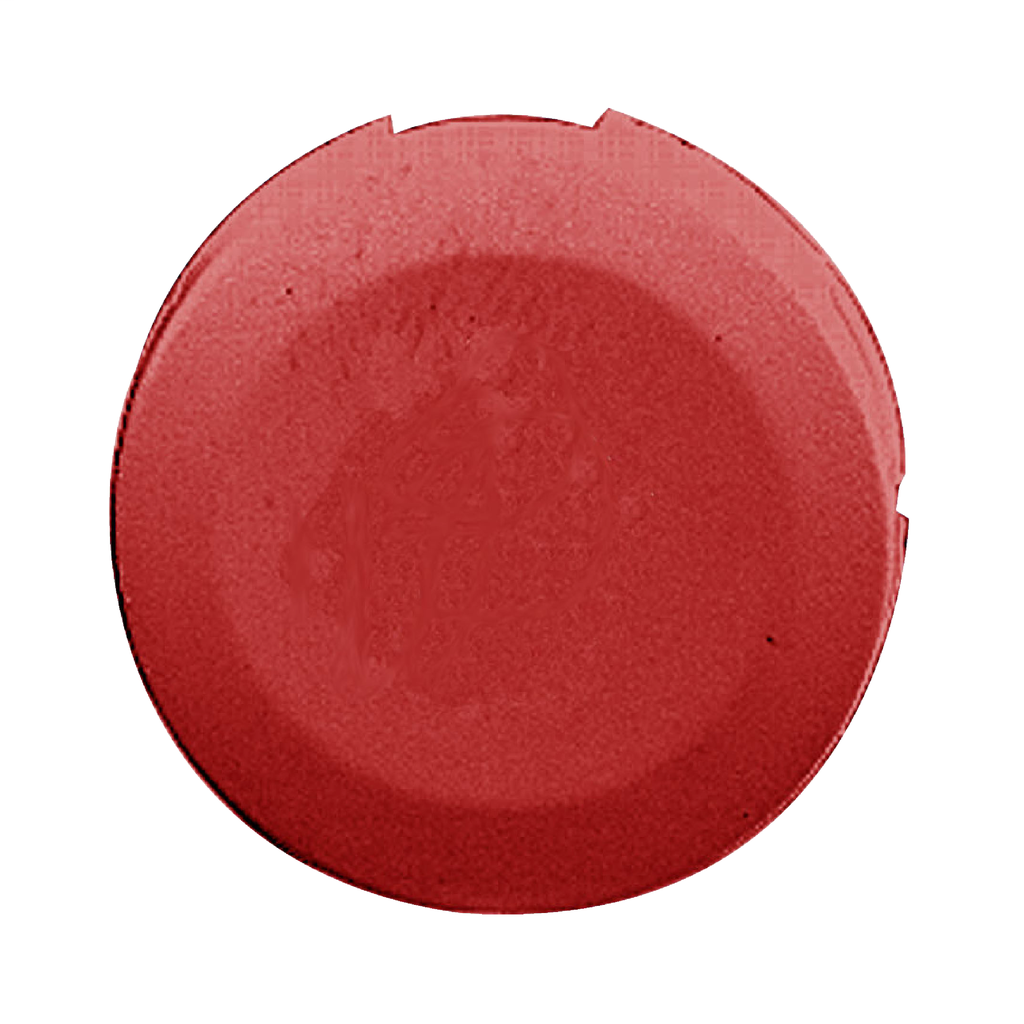 Product image for Square D ZB6YAW4 16 mm Red Circular Head Illuminated Push Button Flush Push Lens Cap