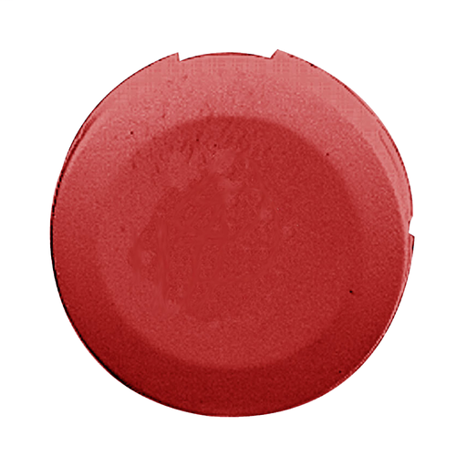 Product image for Square D ZB6YAW4 16 mm Red Circular Head Illuminated Push Button Flush Push Lens Cap