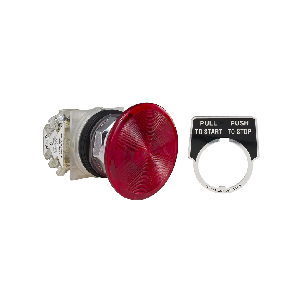 Product image for Square D 9001KR9R21H13 30 mm 10 Amp 600 Volt Push Button