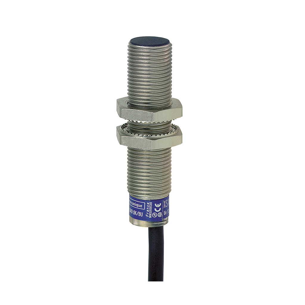 Mayer-DDS-Inductive proximity sensors XS, inductive sensor XS6 M12, L54mm, brass, Sn4mm, 12...48 VDC, cable 2 m-1