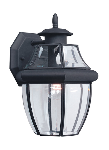 One Light Outdoor Wall Lantern 8038-12