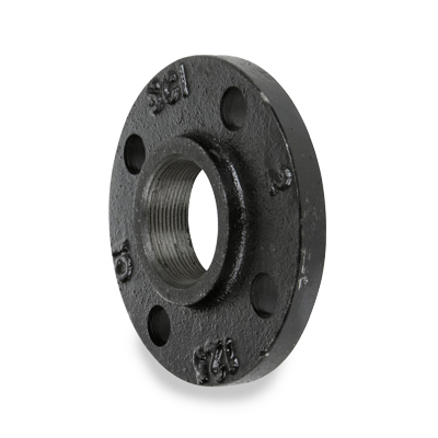 6″ 125# Cast Iron Black Threaded Companion Flange
