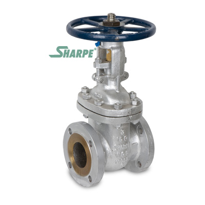 3″ Cast Steel 150# Flanged OS&Y Gate Valve - Series 35114