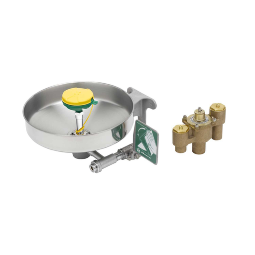 Eyewash, Wall Mount w/ Thermostatic Mixing Valve
