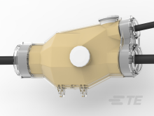 Bav-5-43Bd245