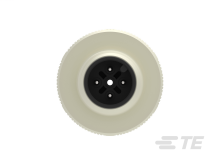 DDS_6168817