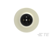 DDS_6169822