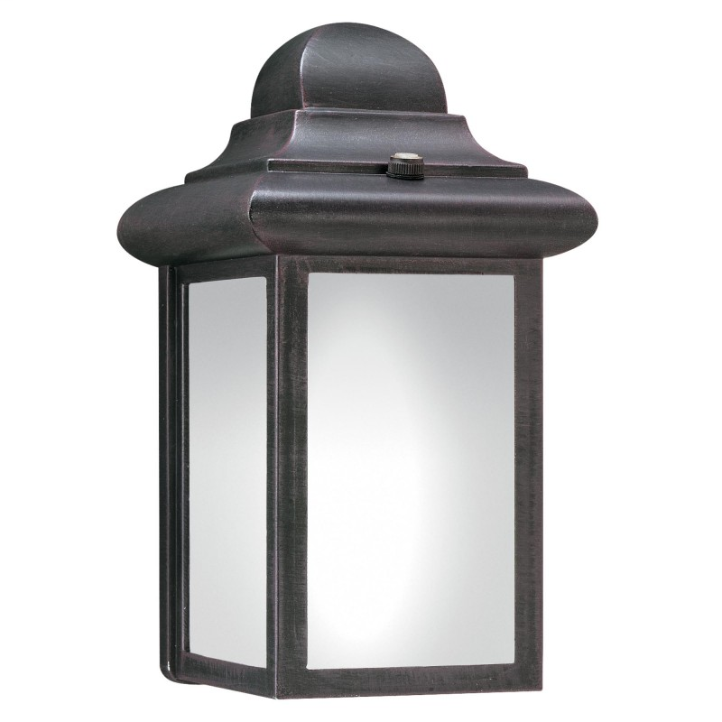 Outdoor Fluorescent 1-light Outdoor Wall Lantern in Painted Bronze finish