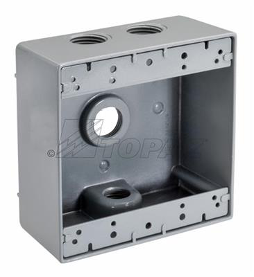 Product image for TPZ WB2450 1/2" 4 HOLE 2-GANG WEATH