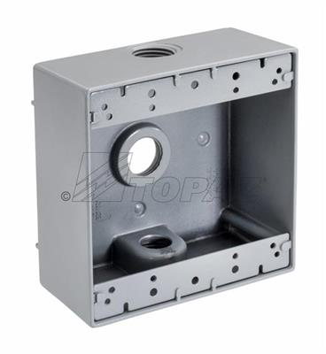 Product image for TPZ WB2350 1/2" 3 HOLE 2-GANG WEATH