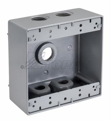 Product image for TPZ WB2575 3/4" 5 HOLE 2-GANG WEATH