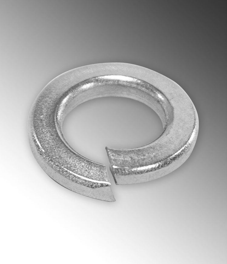 Product image for Calbrite S60200LW00 1/4" Lock Washer, 316 Stainless Steel