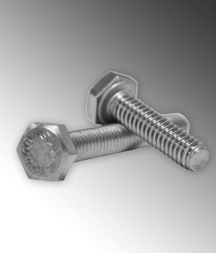 Product image for Calbrite S60200HC20 1/4" x 2" Hex Head Cap Screw, 316 Stainless Steel