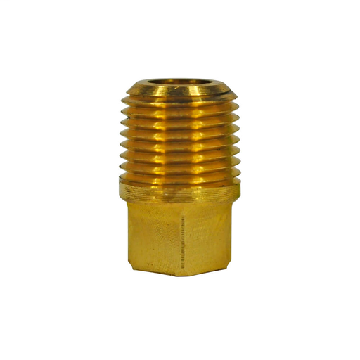 1/8 in MIP Pipe Plug