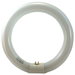 EIKO FC16T9/CW 40W COOL WHITE CIRC