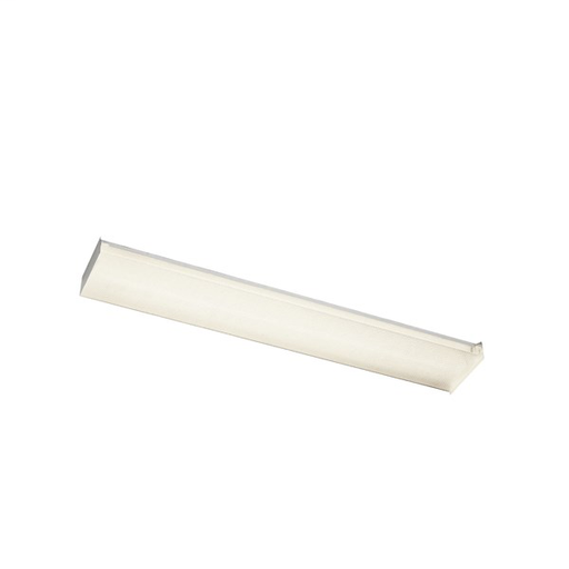 48" 2 Light Fluorescent Linear Ceiling Light White