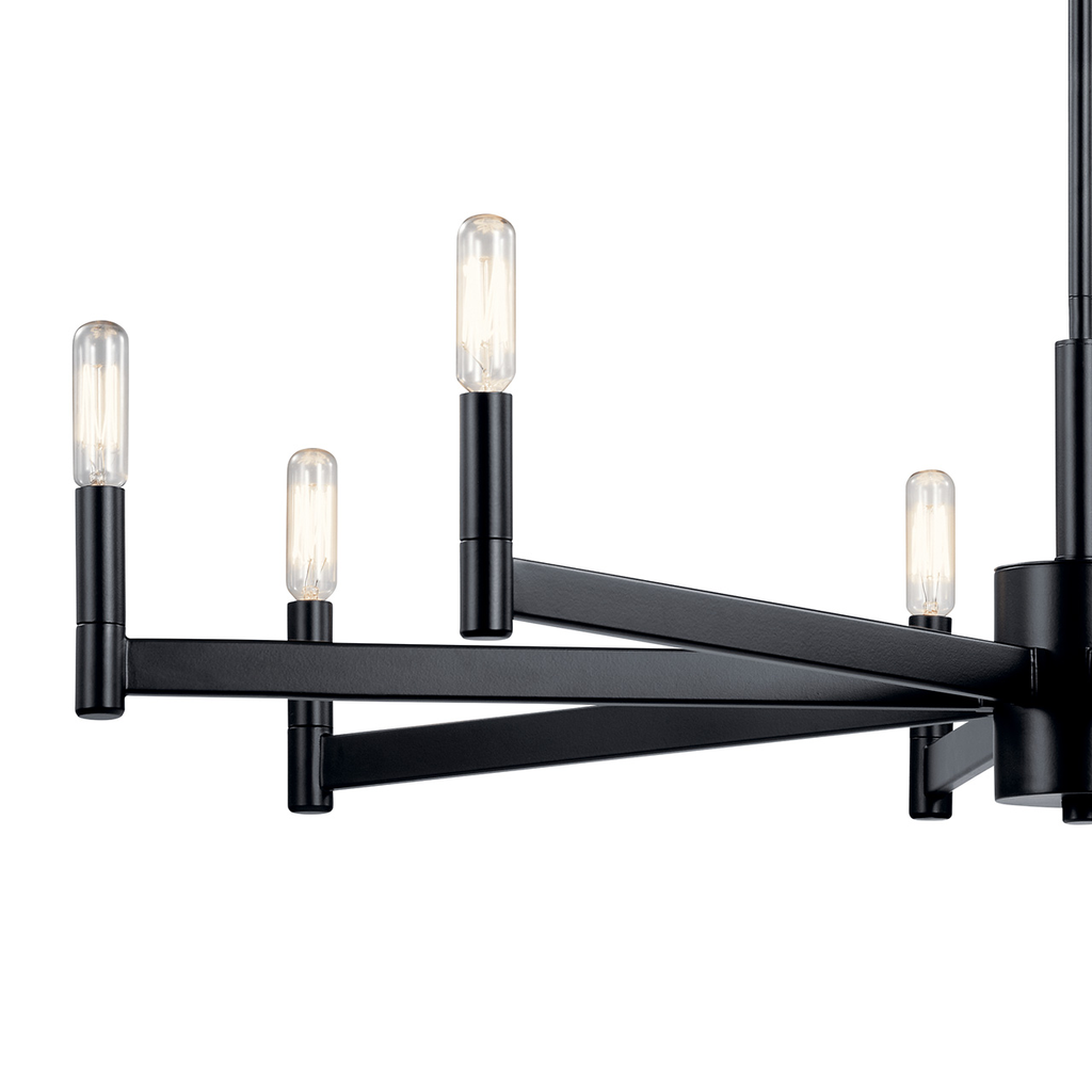 Erzo™ 8 Light Chandelier in Black