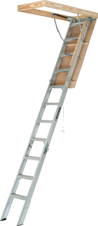 Product image for L-VIL FTAA229GS 22.5XX54X10 LADDER