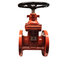 10 DI FL X FL Gate Valve NRS AWWA C515