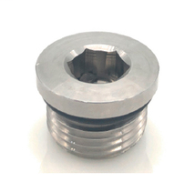 316 -02 MORB HOLLOW HEX PLUG