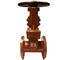 2-1/2 DI FL X FL Gate Valve OS&Y AWWA