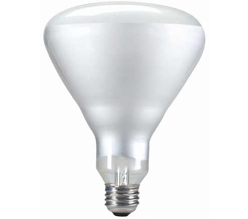 Product image for PHIL 140087 65BR40/FL 130V 12/1 PRO