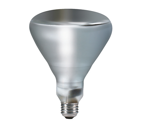 Product image for PHIL 202051 250BR40 IR/1/TG 120V 4/