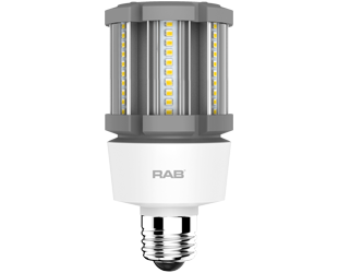 Product image for RAB HID-12-E26-850-BYP-PT HID PST T