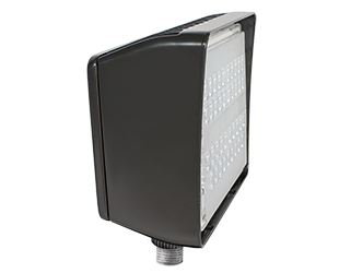 Product image for RAB PIP30/D10 PIPFLOOD 30W 5000K L