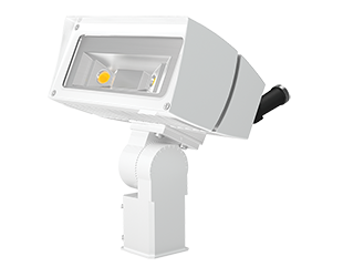 Product image for RAB FFLED39SFNW/PCS FUT.FLOOD 39W N