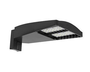 Product image for RAB LOT5T110/D10/UPA LOTBLST T V 11