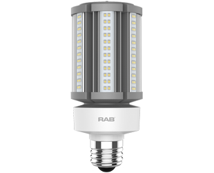 Product image for RAB HID-36-E26-850-BYP-PT HID PST T