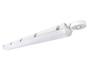 Product image for RAB SEAL4-50N/D10/LCS SEAL LIN WAOW