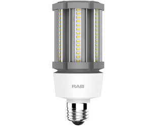 Product image for RAB HID-18-E26-830-BYP-PT HID PST T