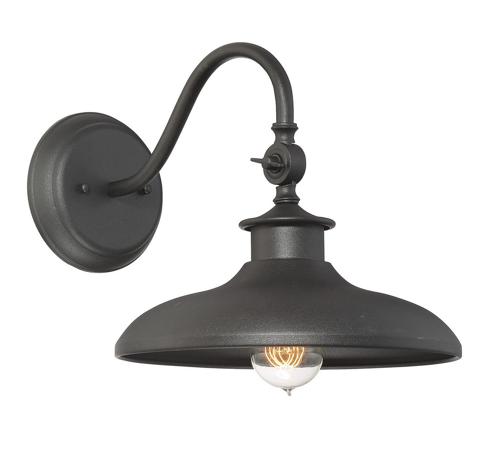 Product image for SAVOY 5-9584-BK RALEIGH 1-LT OUTDOOR LANTERN