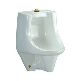 すず１ Zurn Ecovantage The Small Pint Z5738-U Urinal System, 0.125