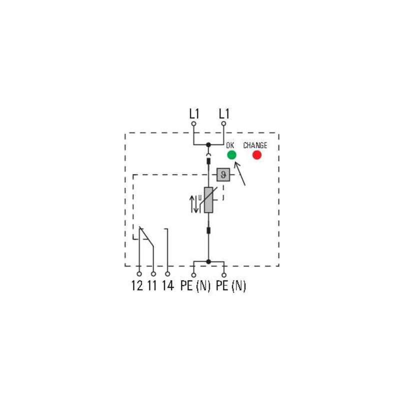 DDS_2135226