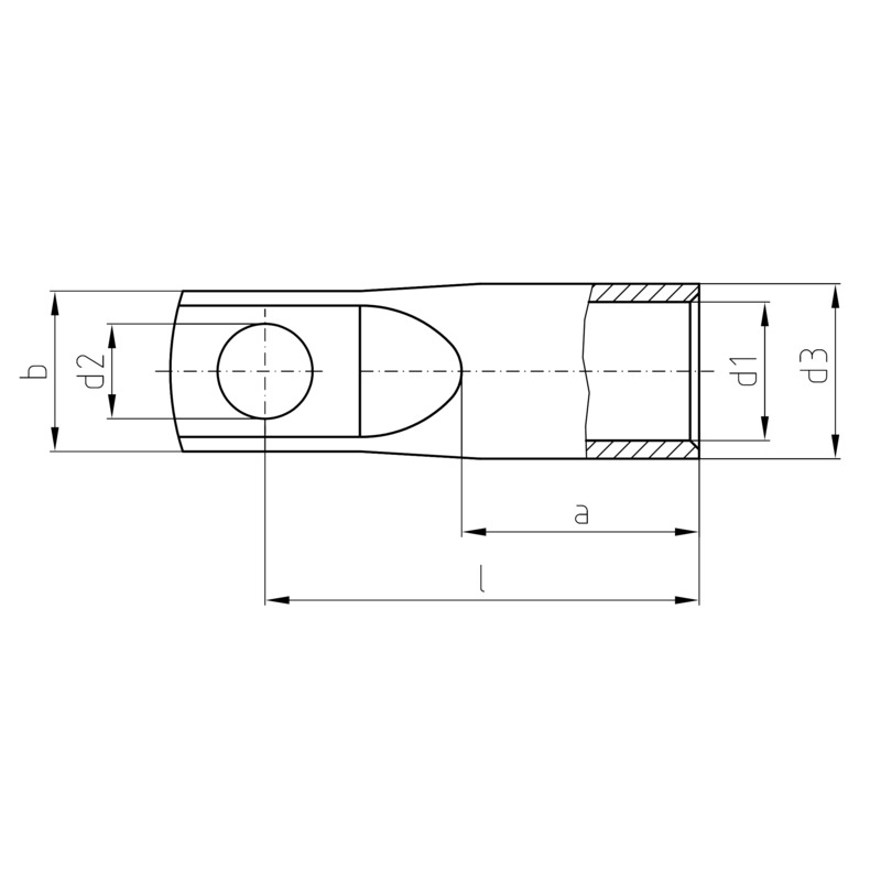 DDS_2160756