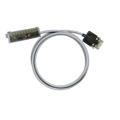 PAC-PREM-RV24-V2-7M