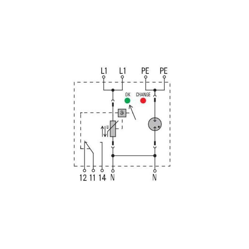 DDS_2135587