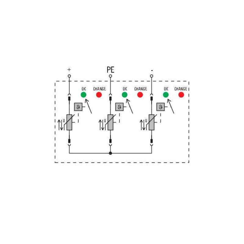 DDS_2136254