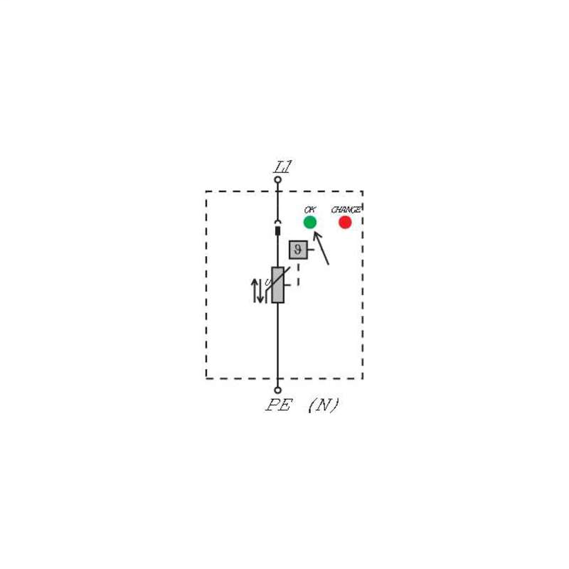 DDS_2136636