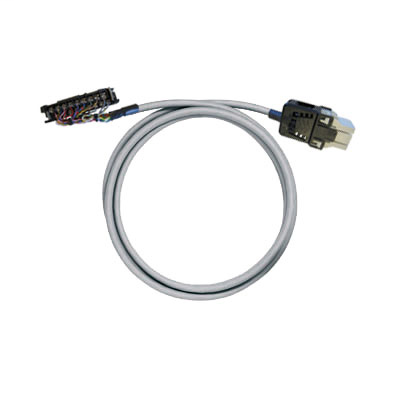 PAC-CQM1-RV12-V1-6M