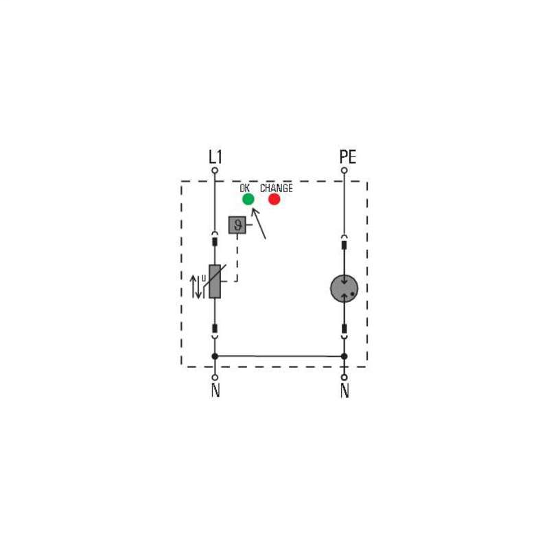 DDS_2136101