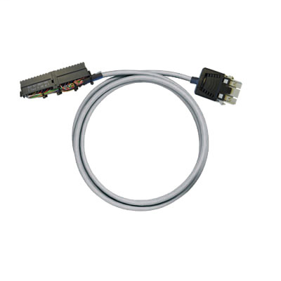 PAC-S300-RV24-V0-0M5
