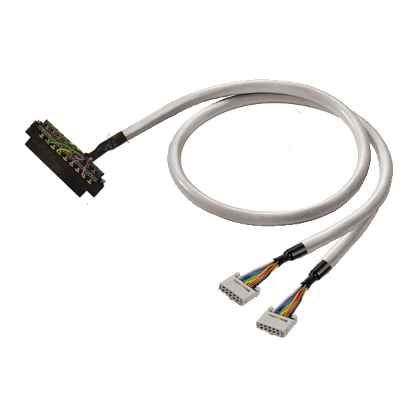 PAC-CMLX-2X10-V6-3M