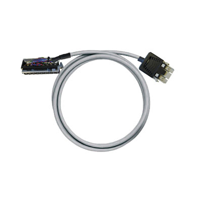 PAC-CJ1W-RV24-V1-6M