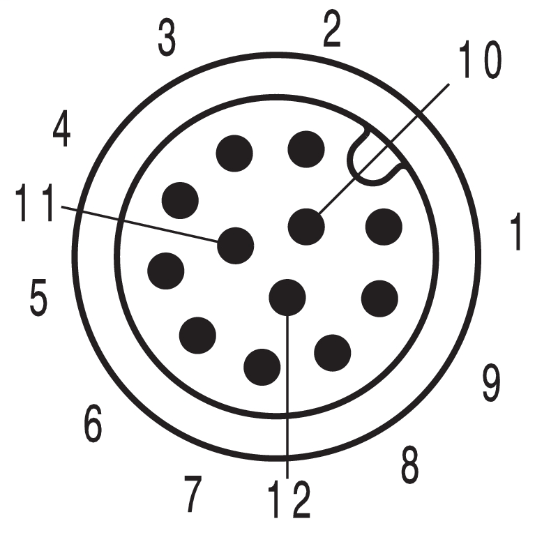 DDS_2133826