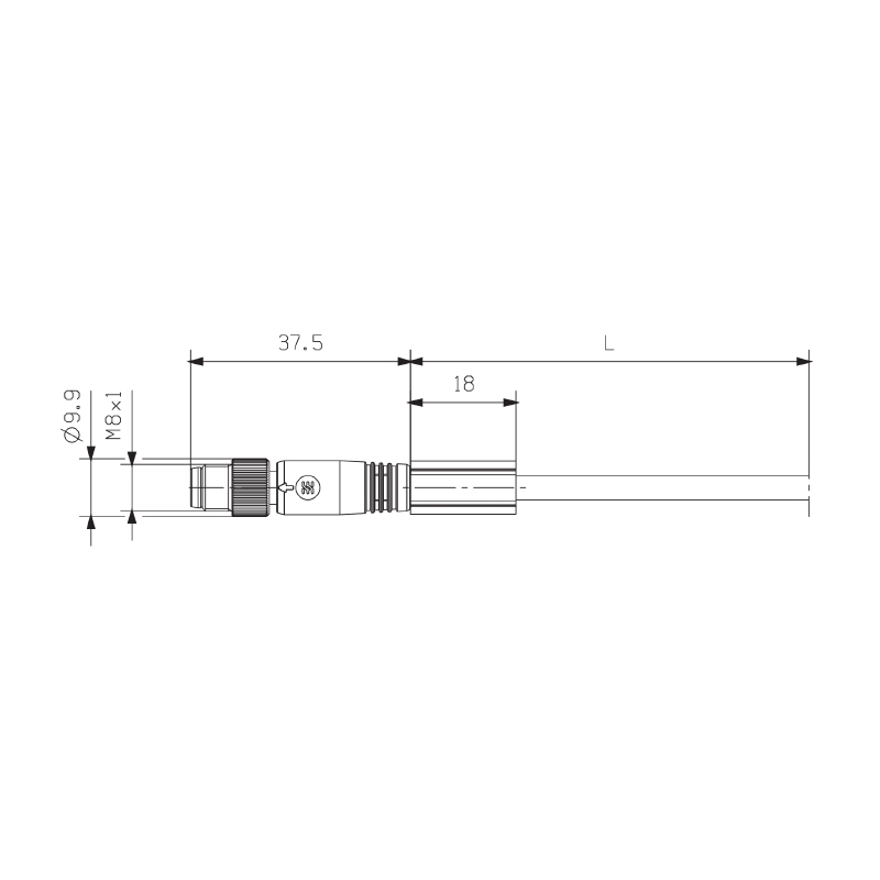 DDS_2153109
