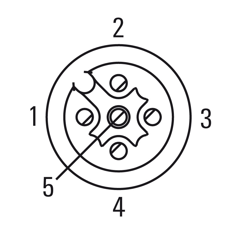 DDS_2161736